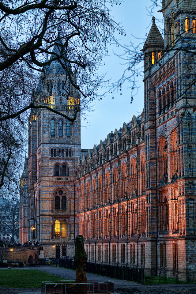 The Natural History Museum