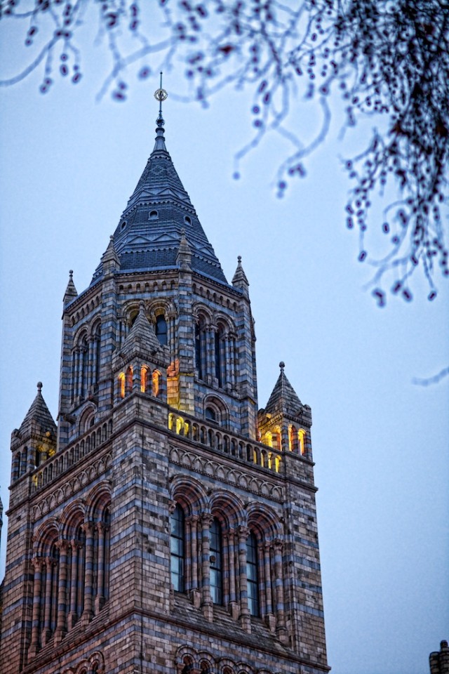 Natural History Museum