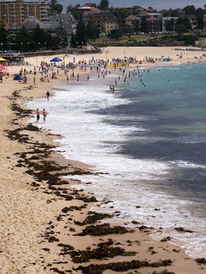 Coogee Beach