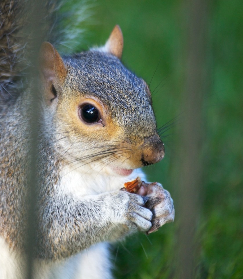 Preparing For Winter