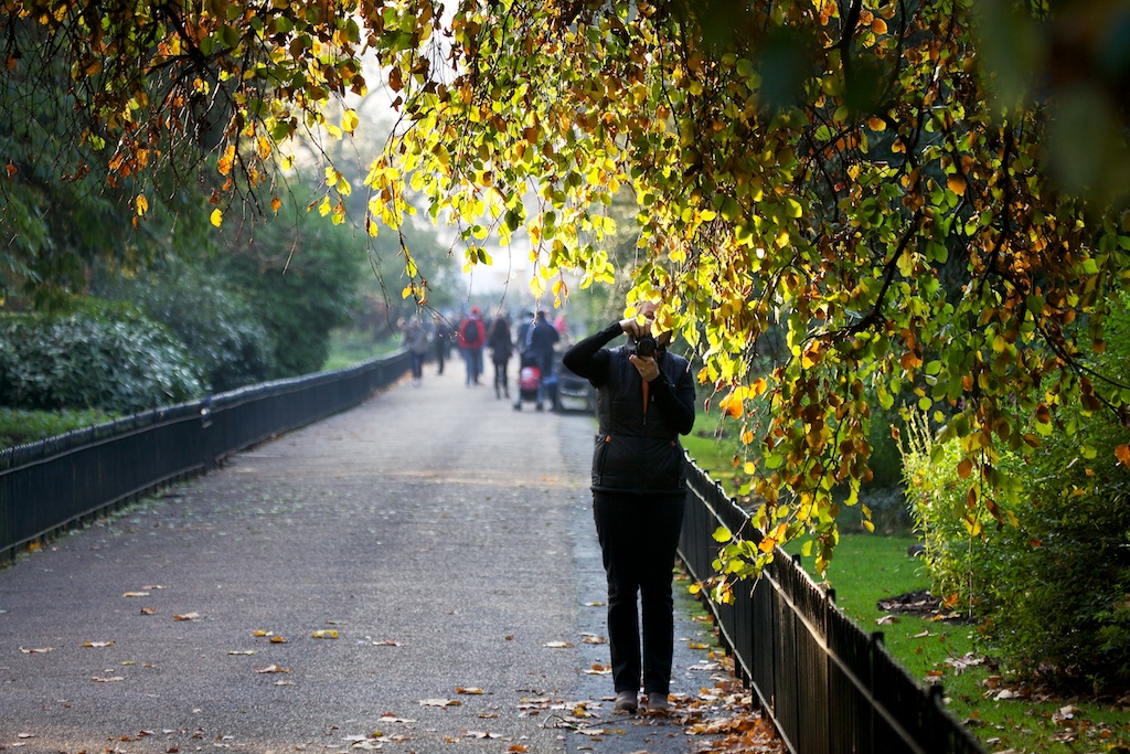 Photographing Autumn