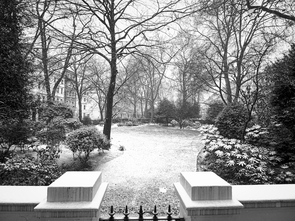 A Cold Cornwall Gardens