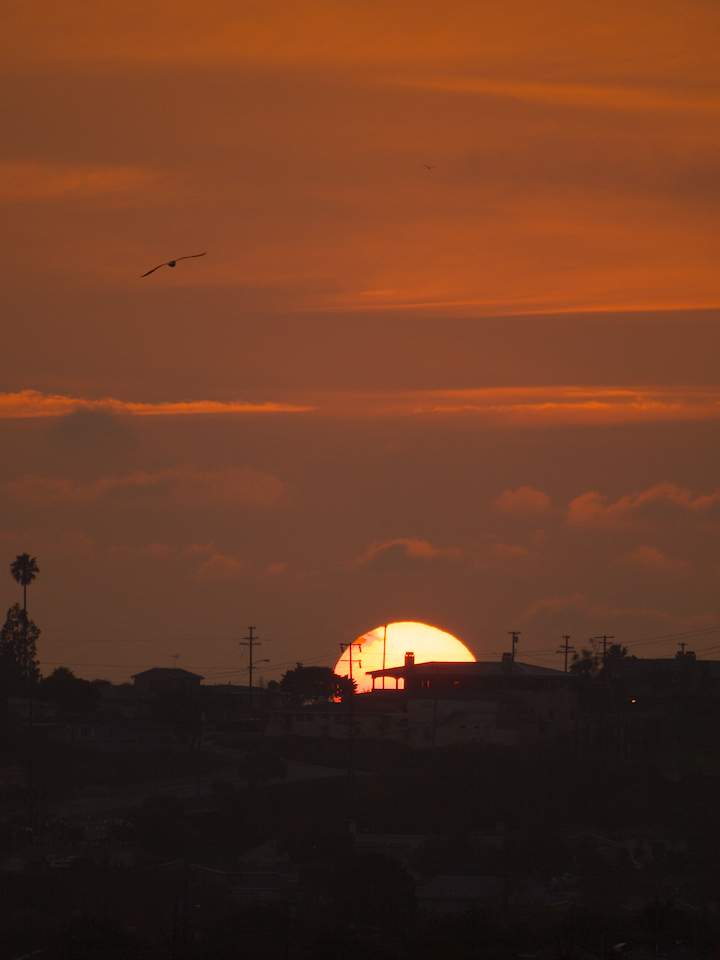 la sunset