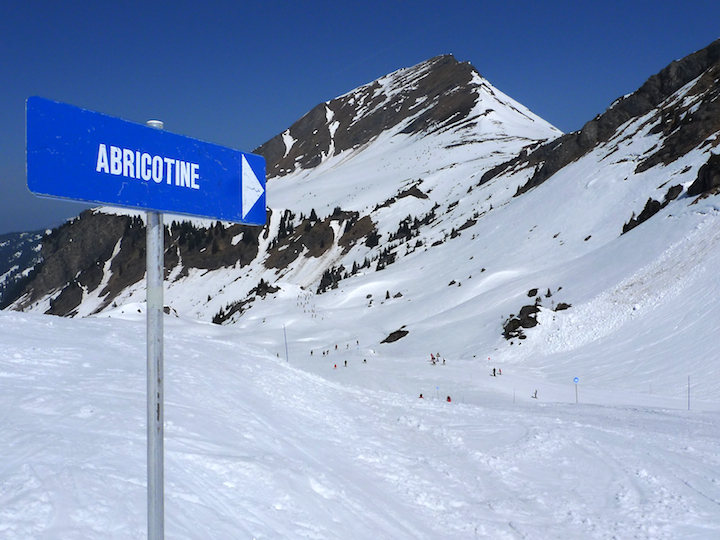 Spring Skiing