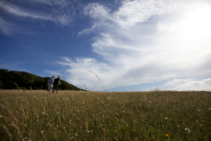 Taskers Meadow